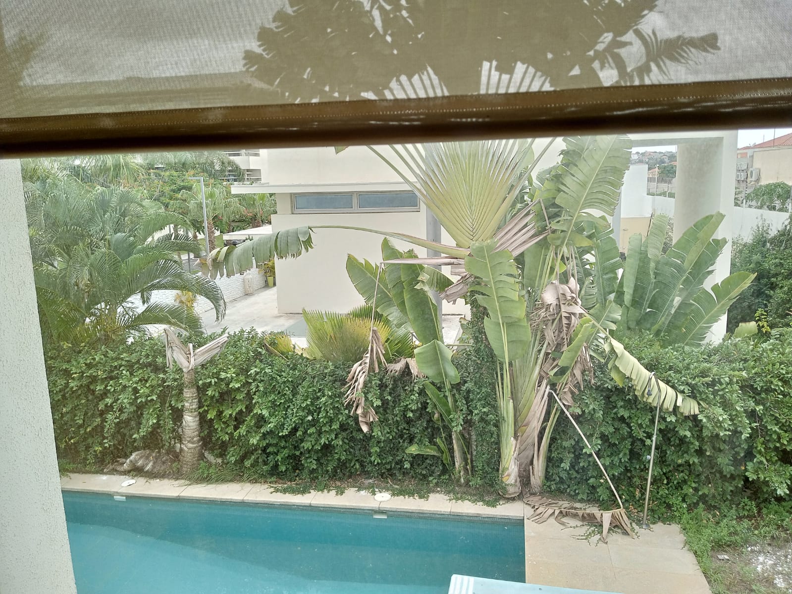 IMG-20230112-WA0025