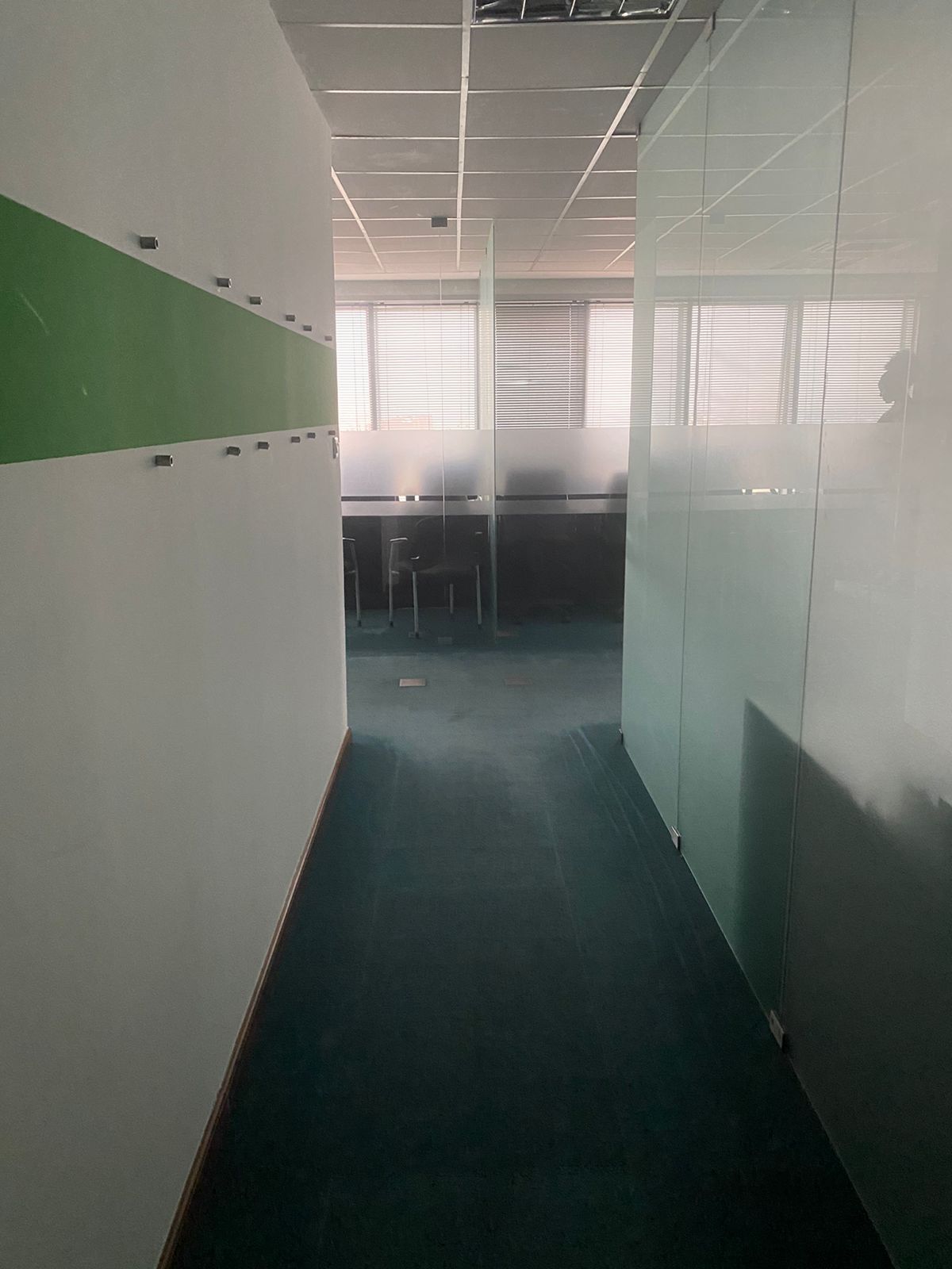 WhatsApp-Image-2024-09-02-at-05.24.19