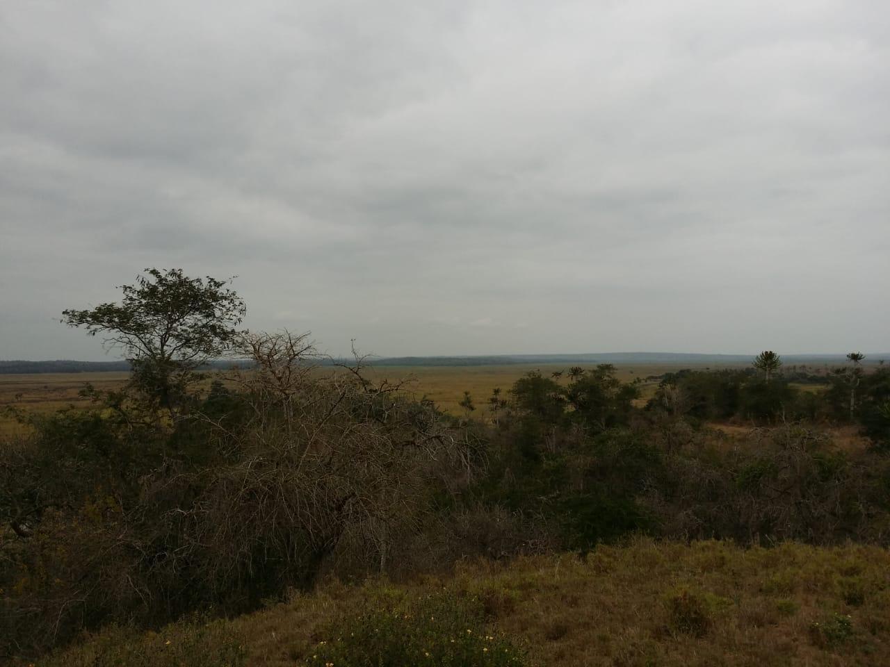 IMG-20241125-WA0056