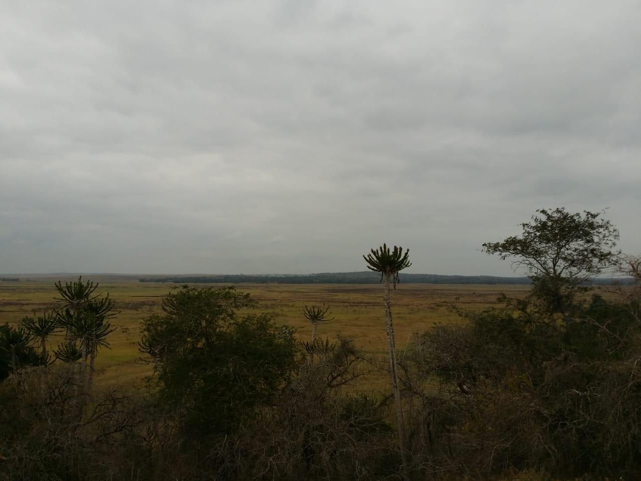 IMG-20241125-WA0059