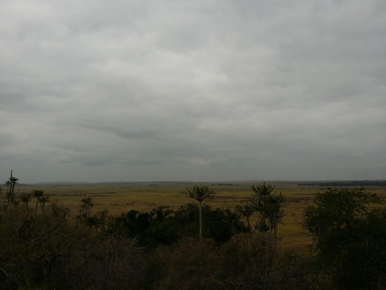 IMG-20241125-WA0061