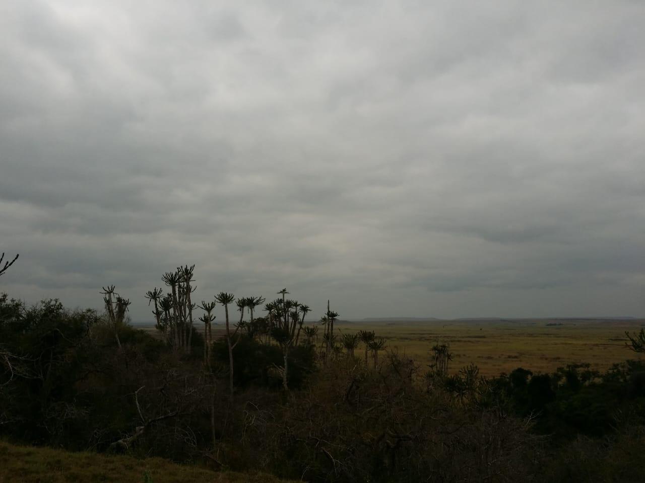 IMG-20241125-WA0062