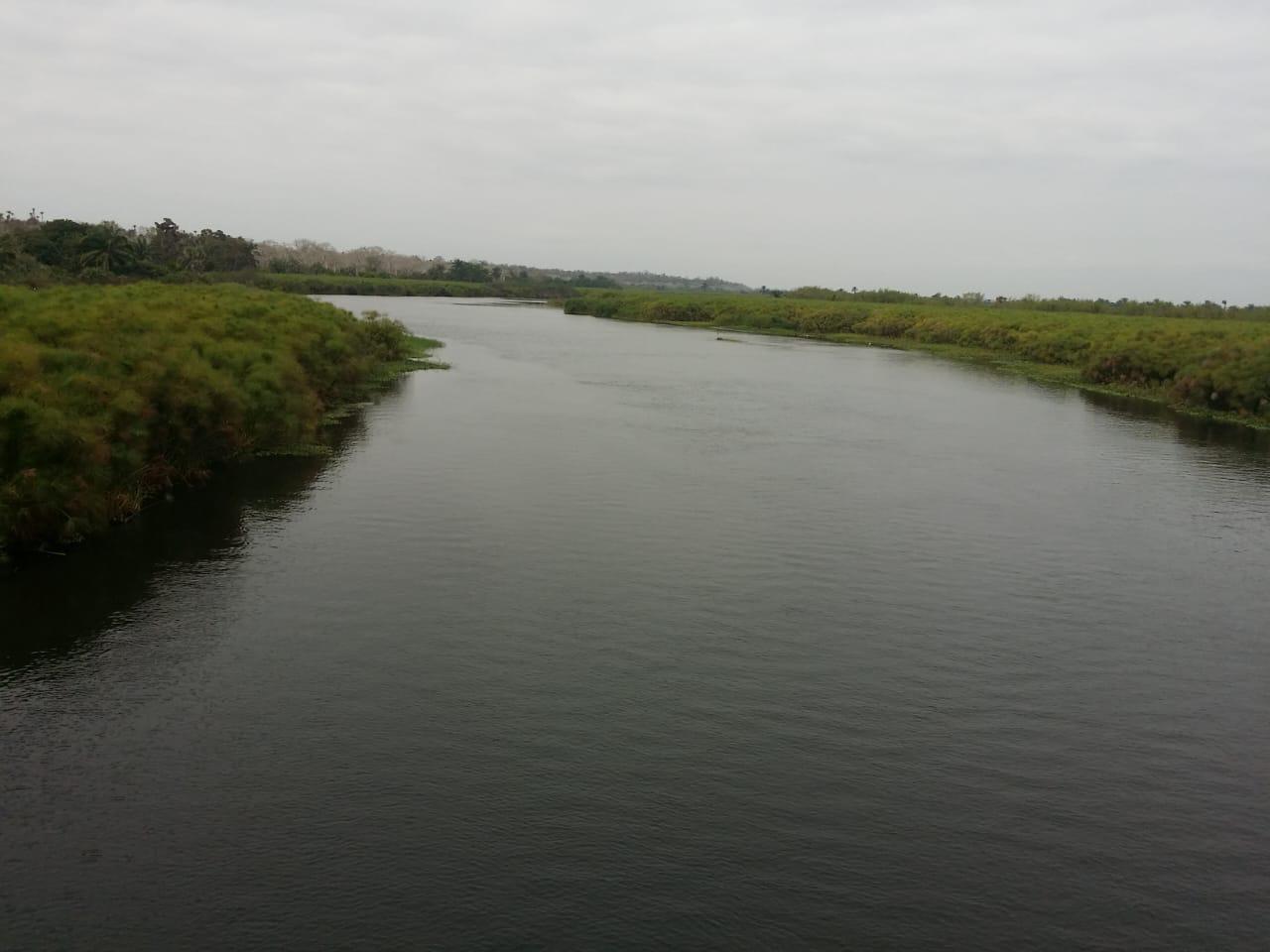IMG-20241125-WA0063