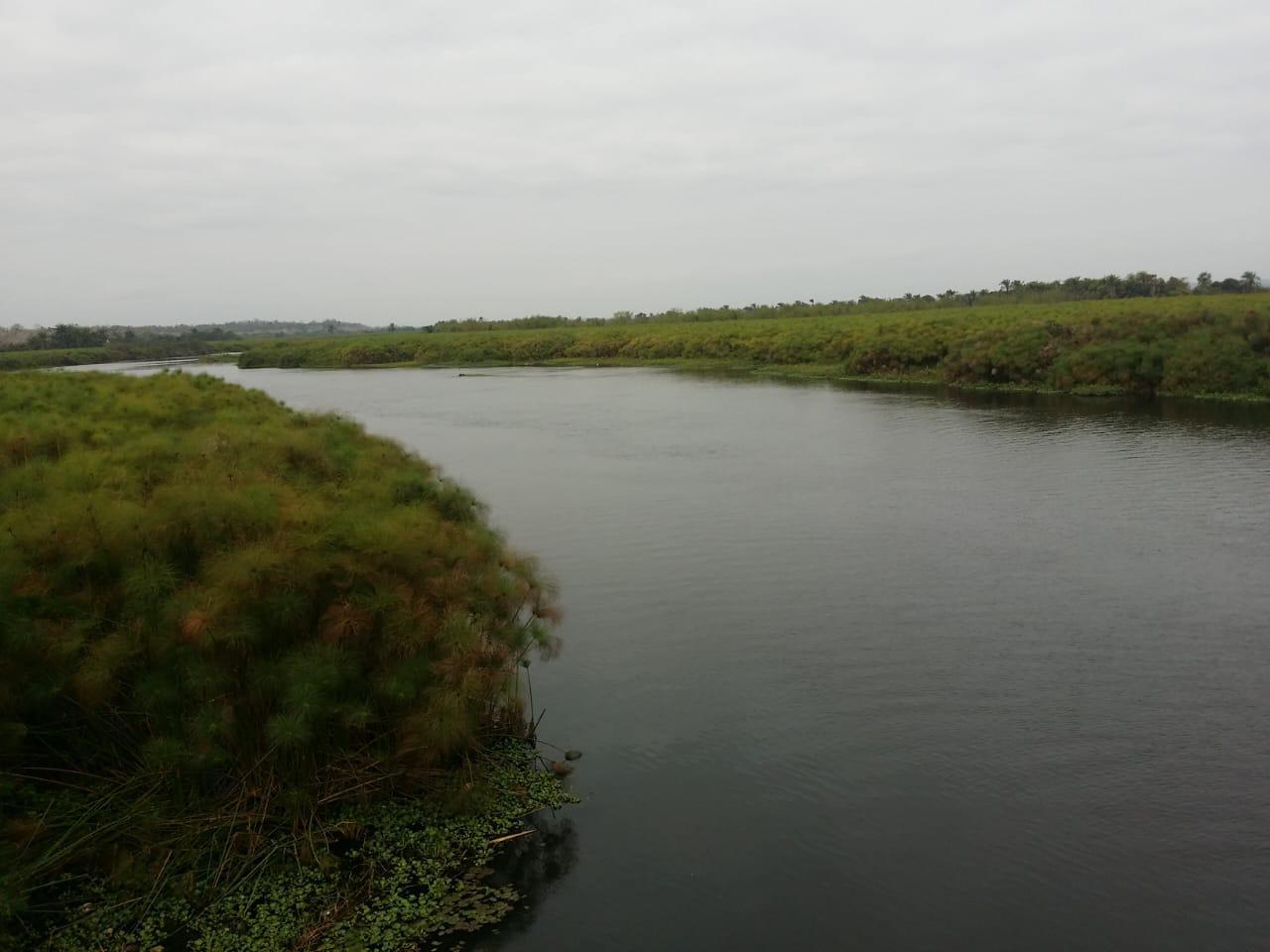 IMG-20241125-WA0064