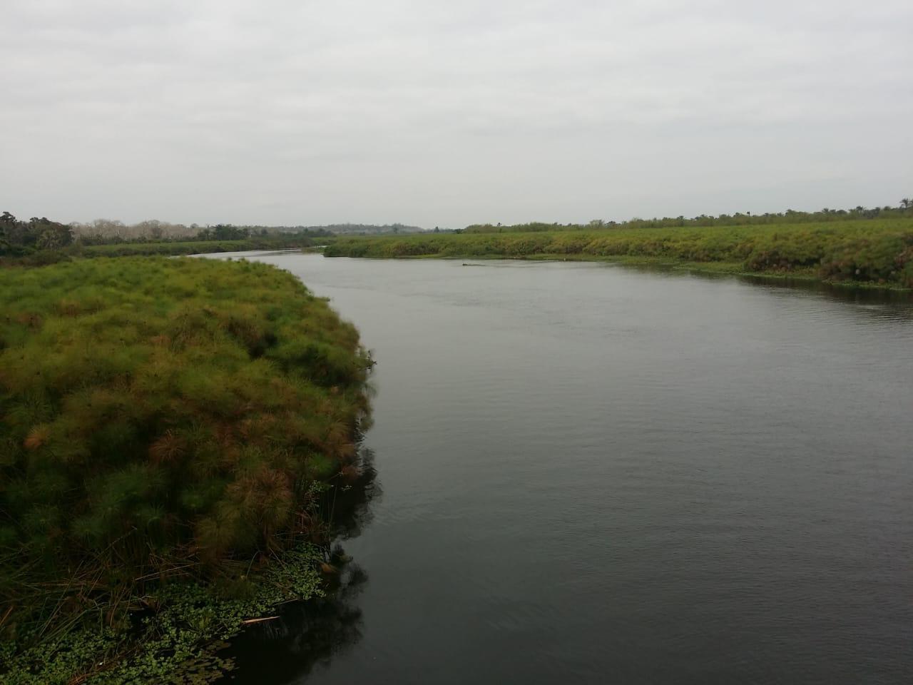 IMG-20241125-WA0065