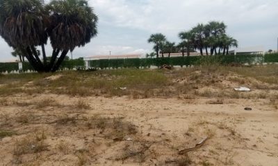 LOTES 30/20 NO MUSSULO 1001140033